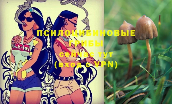 гашик Заводоуковск