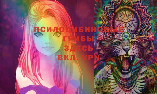 гашик Заводоуковск