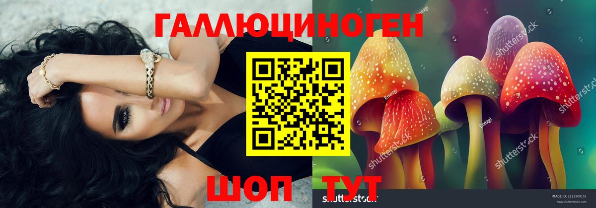 Ипатово  Галлюциногенные грибы GOLDEN TEACHER  Вход с VPN 